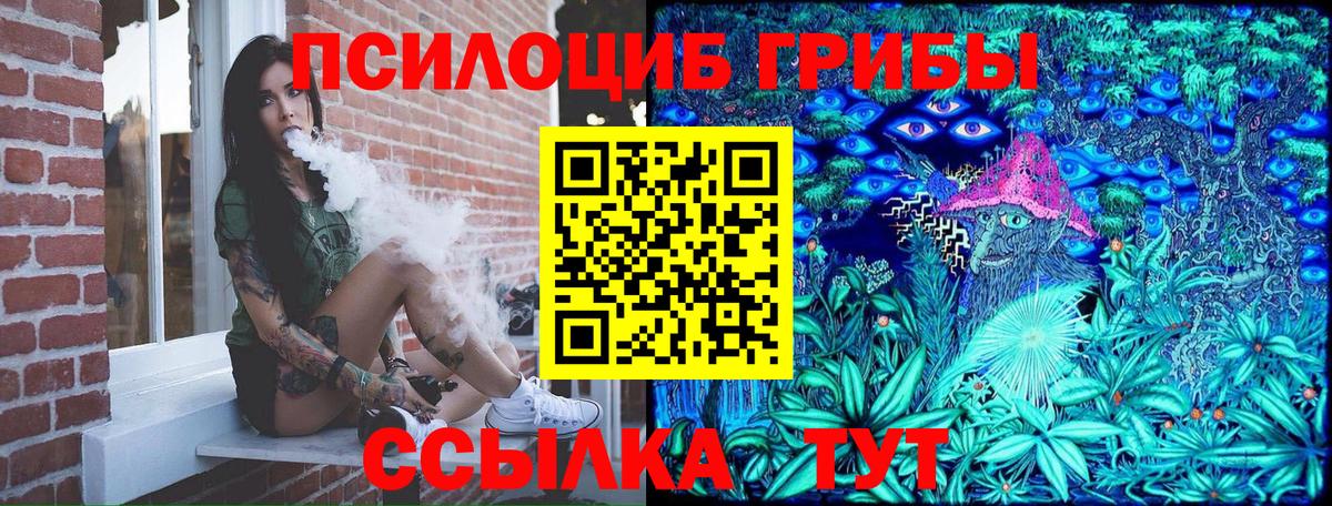 Псилоцибиновые грибы Psilocybine cubensis Нефтеюганск