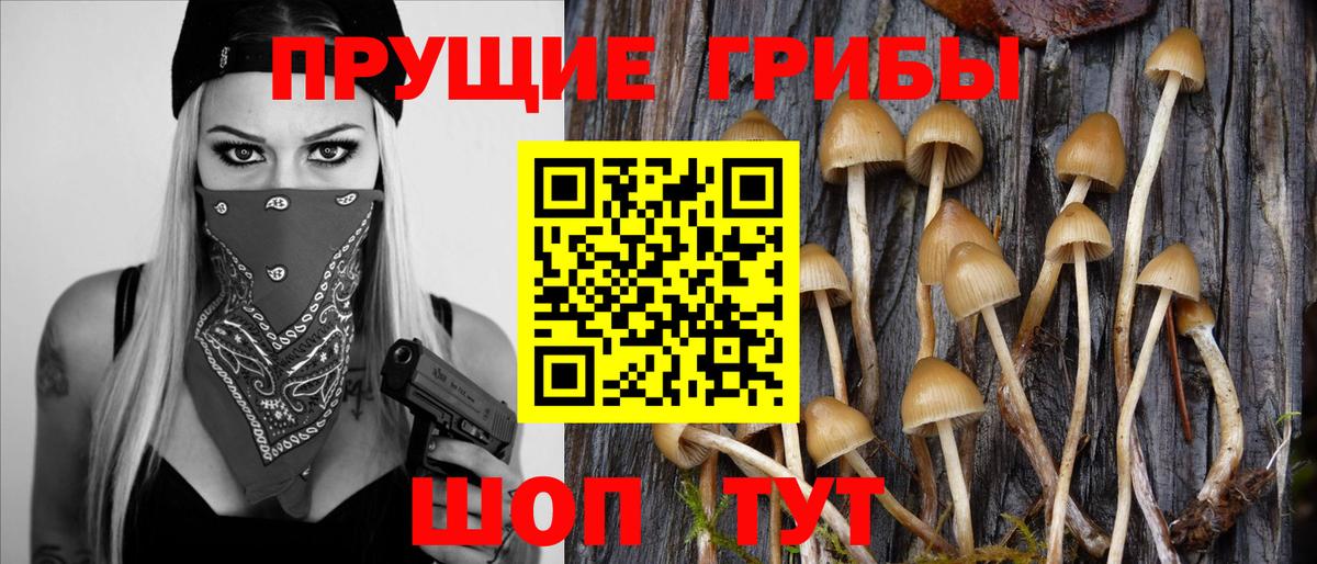 Галлюциногенные грибы Cubensis  Вход с VPN  наркошоп  Нефтеюганск  Галлюциногенные грибы GOLDEN TEACHER 